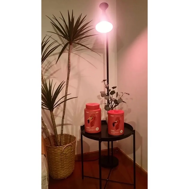 Birdman Kit Protein Fitmingo 510g Creatina Watermelon 300g