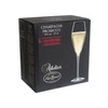 Luigi Bormioli Atelier 9.25 oz Champagne Glasses, 6 Count (Pack