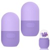2 Stück Ice Roller,Eisroller Gesicht,Ice Roller Gesicht,Eisroller,Face Ice Roller,Reduziert Fältchen,