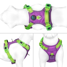 PHOEPET No Pull Dog Vest Harness, Adjustable, Reflective, Non-Choking Pet Harness with Easy to Use Handle and Metal Clips for Dogs (Purple Base & Green Straps, XL