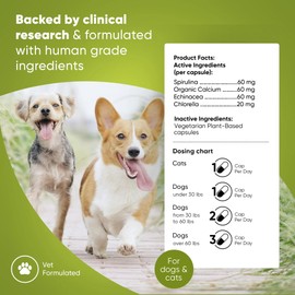 Rooted Owl Blood Support - Immunity, Recovery and Iron Supplement for Dogs & Cats - Anemia Support with Spirulina and Chlorella - 60/ct Vegan Capsules