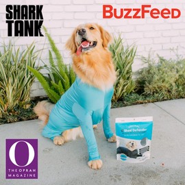 Shed Defender Sport Dog Onesie for Dog Shedding, Seen on Shark Tank, Lightweight Breathable, Bodysuit for Dogs, Pet Jumpsuit, Dog Body Suit, Shed Shirt, Full Body Shed Suit, Hot Spots, Vet Approved