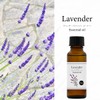 Natural 100% Lavender Oil (Lavandine Super) 30ml Essential Oil