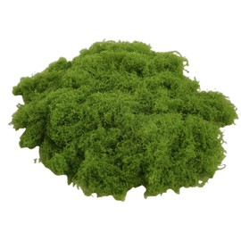 50 g Moss Plants, Decorative Moss Wall, Preserved Decorative Moss, Decorative Moss for Easter, Christmas, for Model Making