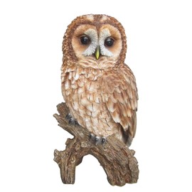 Vivid Arts Tawny Owl Real Life Ornament