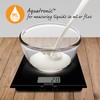 Salter 1172 BKDR Premium Large Platform Electronic Scale – Digital