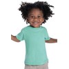 RABBIT SKINS™ Toddler 100% Cotton Jersey Short Sleeve Tee (Black,
