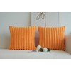 JOJUSIS Pack of 2 Faux Fur Plush Decorative Throw Pillow