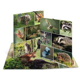HERMA Collector's Folders A4 Animal Motifs Set, Pack of 10, Children's Cardboard Corner Folder with Animal Motif, Elastic Band, Inner Flaps and Inner Print for Boys and Girls