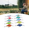 10Pcs Artificial Crankbait 3D Fishing Bait Fishing Accesories for Bass