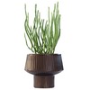 Wide Top Modern Handmade Metal Indoor Planter with Unique Shape,