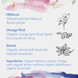 Grace Farms HIBISCUS ORANGE Herbal Tea (16 Pyramid Sachets) | Naturally Sweet, Reviving and Caffeine Free | Organic, Fair Trade and Kosher Certified | Delicious Iced Tea | Gives Back 100% of Profits