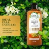Acondicionador Herbal Essences Bio:Renew Aceite de Moringa Dorada 400 ml