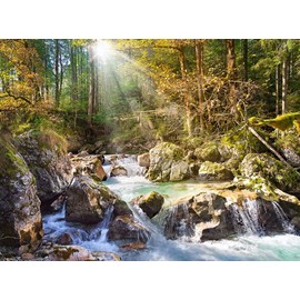 CASTORLAND 2000 Piece Jigsaw Puzzles, The forest stream, Mountain stream, Nature, Adult Puzzles, Castorland C-200382-2