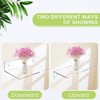 Jansburg 12 Inch L-Shaped Acrylic Floating Shelf Wall Mounted Shelves