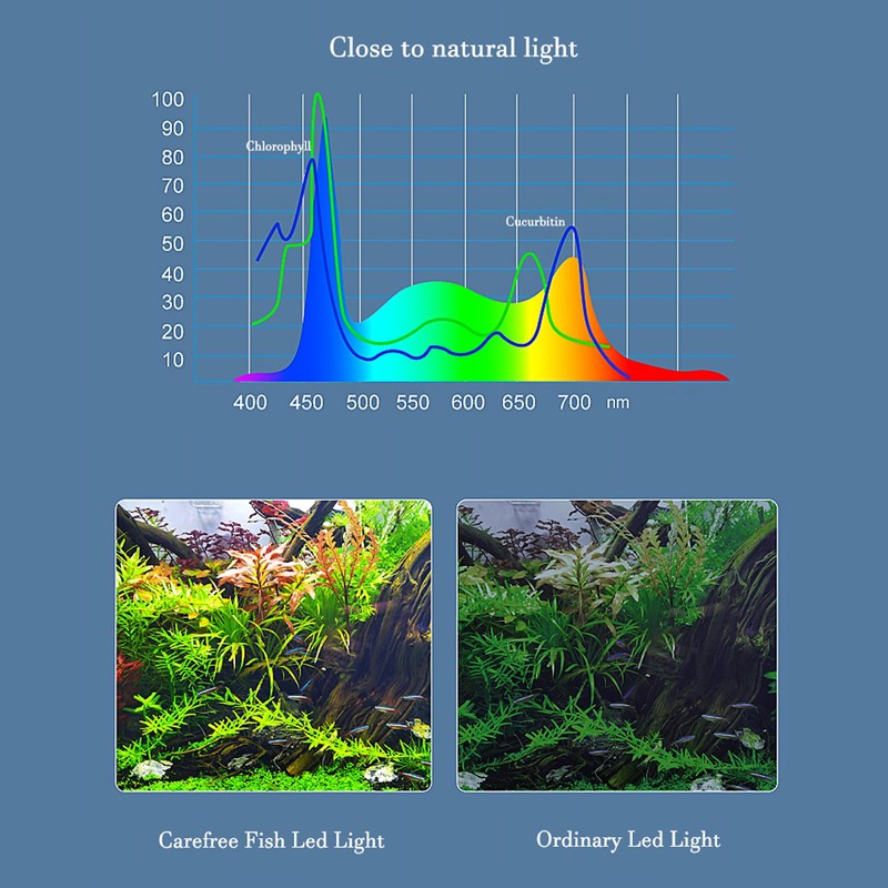 Carefree Fish Aquarium LED Light USB 5V RGBW 5730 Timmer
