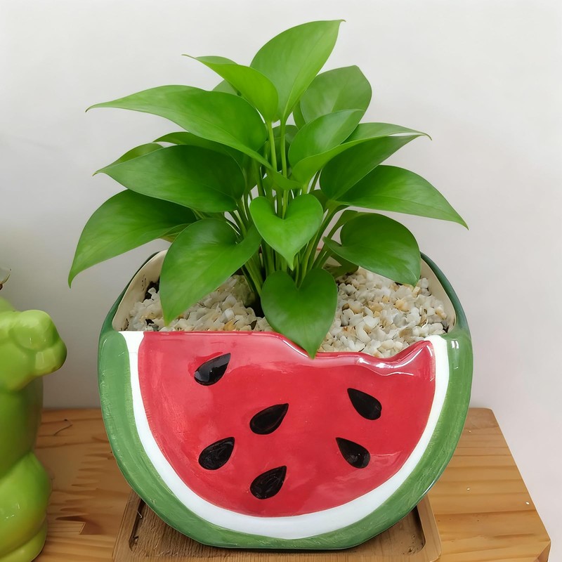 HELAIMAY Cute Watermelon Shape Ceramics Planters, Ceramic Succulent Pots with
