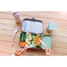 Koziol Lunch Box with Separator PASCAL L, organic grey 3152670