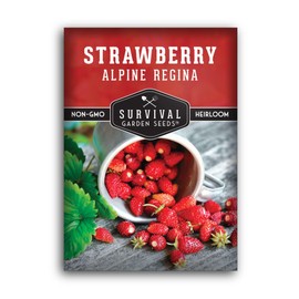 Alpine Regina Strawberry Seed for Planting - 1 Packet with Instructions to Plant & Grow Wild or Woodland Strawberries in The Home Vegetable Garden - Non-GMO Heirloom Variety - Survival Garden Seeds