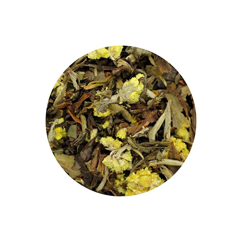 Pear Spice White Tea Pyramid 15 Sachets