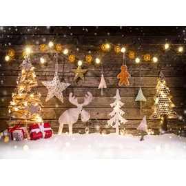 AIIKES 11-693 DG-01-QCW Red Christmas Background Photograph with Snow Background Scene for New Year Christmas for Use at Home a Party as Decoration or as a Studio Booth Accessory