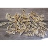 10pc Natural Cerithium Vertagus Seashells, Sliced Cut, 1.5-2 inch, White
