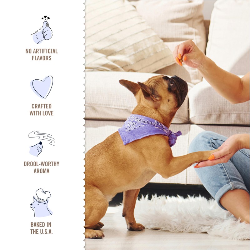 Three Dog Bakery Peanut Butter & Honey Bites, Mess-Free Snacks