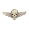 Pack of 2 Skull Emblem Car Sticker 3D Skull Badge