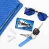 Trident Original Flavor Sugar-Free Chewing Gum, 12 Packs of 14