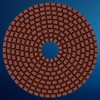 EDW Diamond Wet Sanding Pad/Polishing Disc, Dia Wet | Refurbishing,