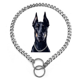 Silver Dog Chain Collar,Metal Slip Link Martingale Dog Collar Heavy Duty Training Dog Collars Puppy Collars for XS Small Medium Large Big Breed Dogs,XS