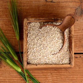 Village Enterprise Ssarijae Meal Replacement [Organic Sloth Barley Sunsik 500g] Roasted Barley Shake