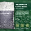 Nature’s Seed White Dutch Clover Seed, Drought Tolerant Ground Cover,