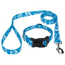 Country Brook Petz - Blue Hawaiian Deluxe Dog Collar and Leash - Summer Breeze Collection Featuring Sunny Designs (1/2 Inch, XS1.2)