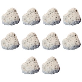 Colidcolor Pumice Rock Specimens (10 Pieces) - Metamorphic Rocks for Science Classrooms - Geologist Selected & Hand Processed - Class Pack, Education Collection