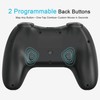 Playnex Wireless Switch Controller 2 PACK for Switch/Switch Lite/OLED/Switch 2/PC