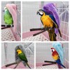 OTKARXUS Comfort Corner Fleece Bird Blanket,1PC Winter Warm Parrot Cage