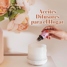 P&J Trading Garselay Juego de 6 aceites aromáticos de grado prémium, para niebla, bastón de caramelo, menta de invierno, sidra de manzana, arándano y 