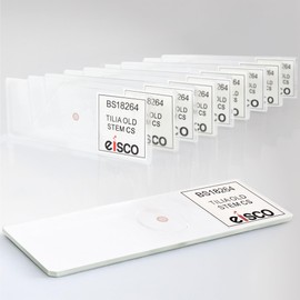 Eisco - 10 Pack Prepared Microscope Slides of Tilia Old Stem Cross Section 25x77mm Glass Stained Annual Ring Structures in Storage Box