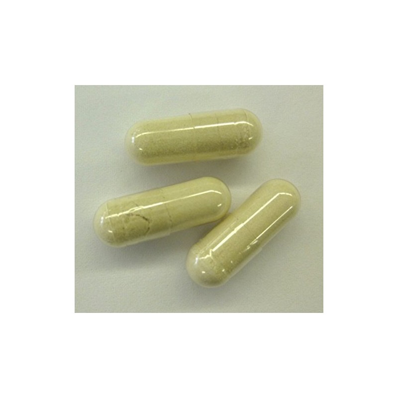 Ryusendo 1R039 Glucopoli Saccharide, 60 Tablets