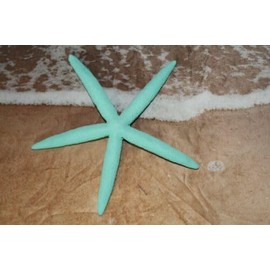 Vintage Beach Wedding Blue Starfish Decor, Natural Sea Stars 5" to 8 inch Range, Large 8 Items