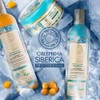 Natura Siberica Hair Shampoo, 400 Mililitro