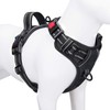 PHOEPET Arneses para perros pequeños, chaleco reflectante ajustable con clip