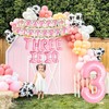 Girls Farm 3rd Birthday Decoration Three i e i o