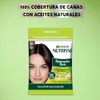 Kit Garnier Nutrisse Coloración Tono 30 Espresso + Retocador de