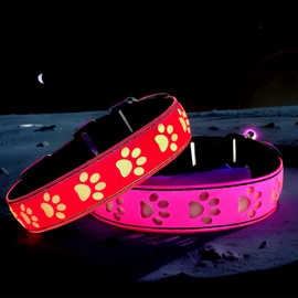 DOGLED LED Light Up Dog Collar, USB-C Rechargeable, Multicolor Paw Print Design, 15 Modes Lighting Night Safety (Pink, M(11.8-15.7"))