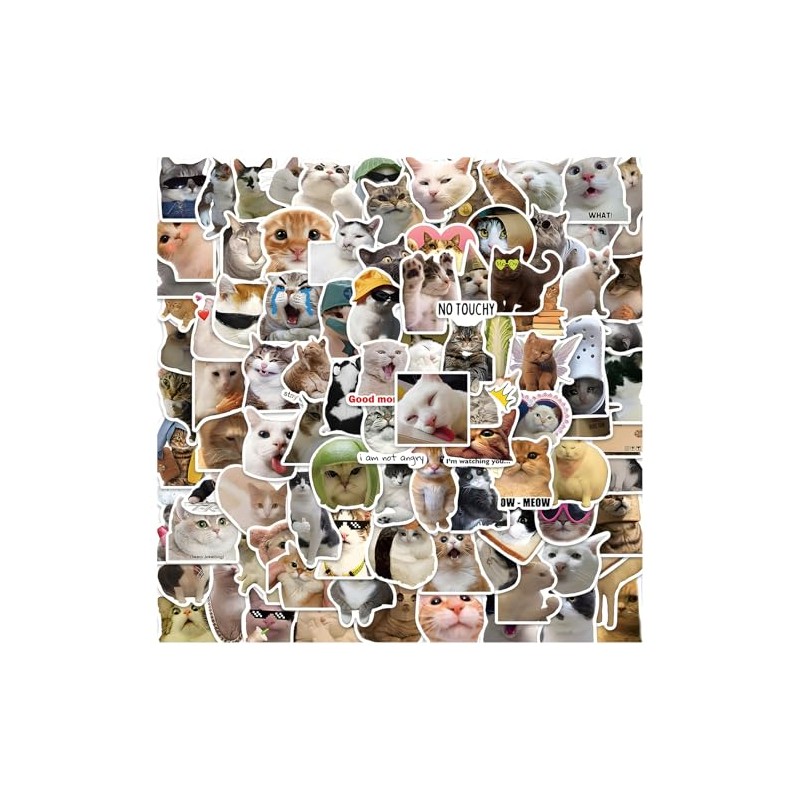 Pack of 100 Funny Meme Sticker Set, Cat Meme Stickers,