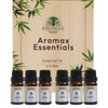 Aromax Essentials 100% Pure Essential Oils Set for Diffuser, Aromatherapy