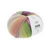 Lang Yarns - Cloud 0009 Purple Green Blue 100 g