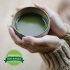 Té Matcha Orgánico The Good Basket Polvo 500g Antioxidante